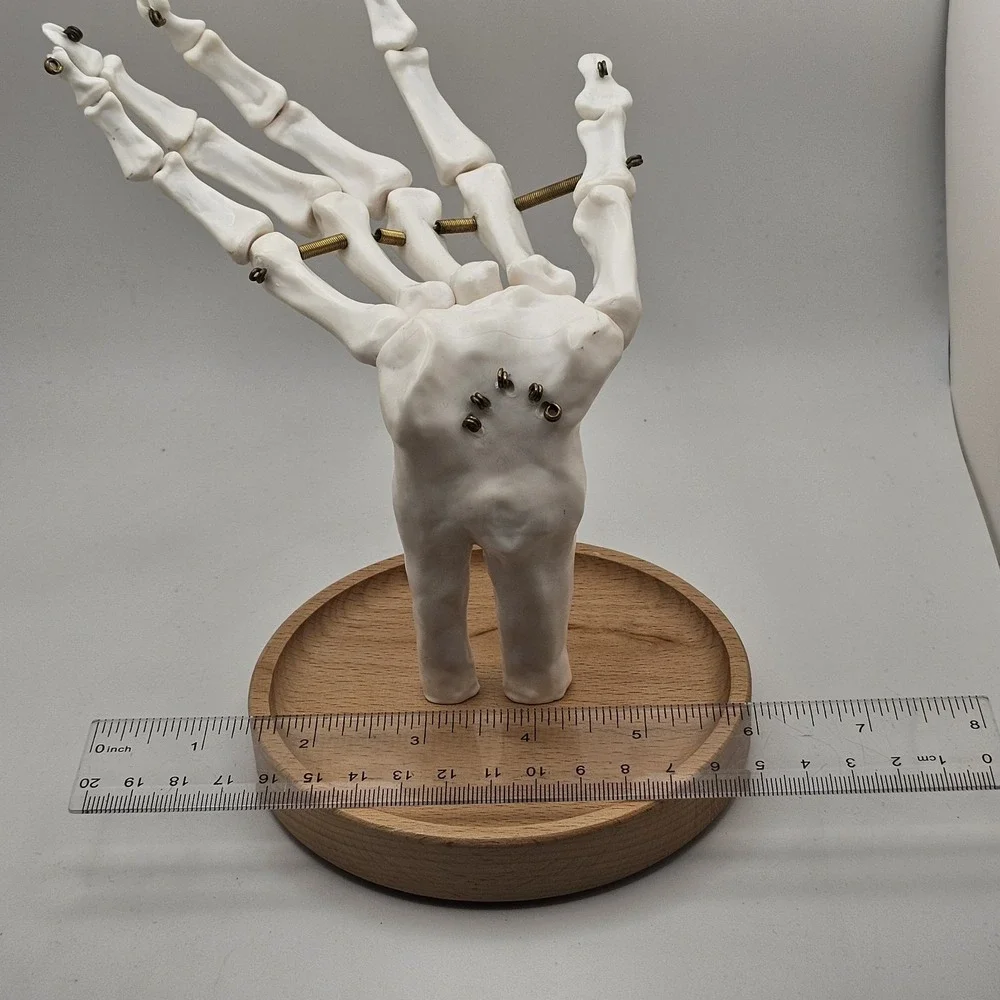 Suck UK Skeleton Hand Jewelry Tidy Holder Organizer Halloween
